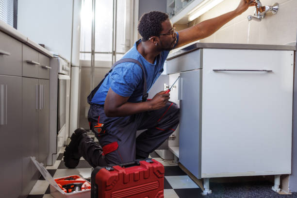 Best Shower Repair Services  in Edinburg, VA